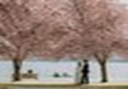 酒店怎能趁疫当“刺客”发国难财